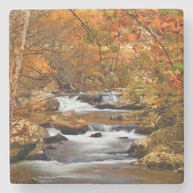 USA, Tennessee. Forsande Mountain Creek Stenunderlägg (Framsidan)