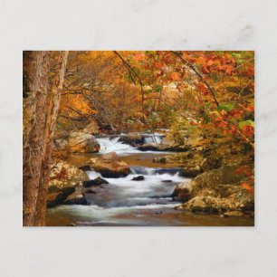 USA, Tennessee. Forsande Mountain Creek Vykort