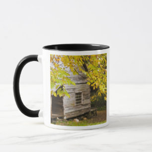 USA, Tennessee, Gatlinburg. Great Smoky Mugg