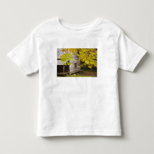 USA, Tennessee, Gatlinburg. Great Smoky T-shirt