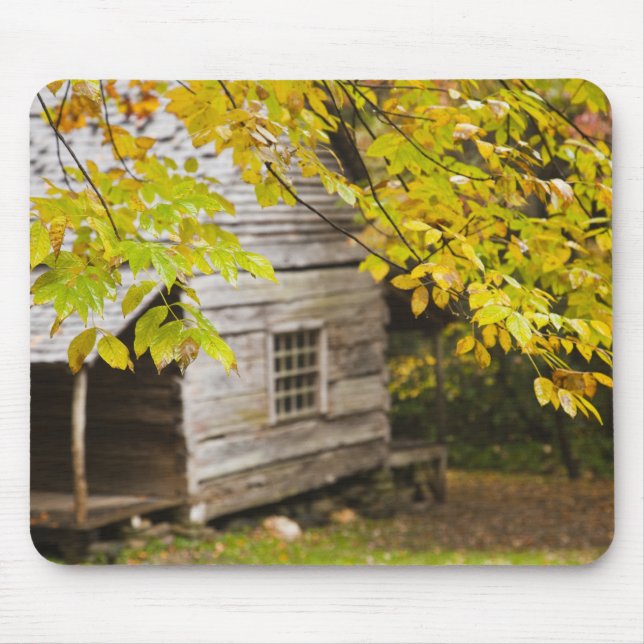 USA, Tennessee, Gatlinburg. Underbarare rök Musmatta (Framsidan)