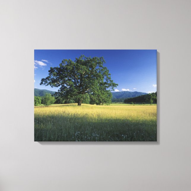 USA, Tennessee. Great Smokey Mountains 2 Canvastryck (Framsida)