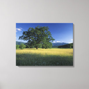 USA, Tennessee. Great Smokey Mountains 2 Canvastryck