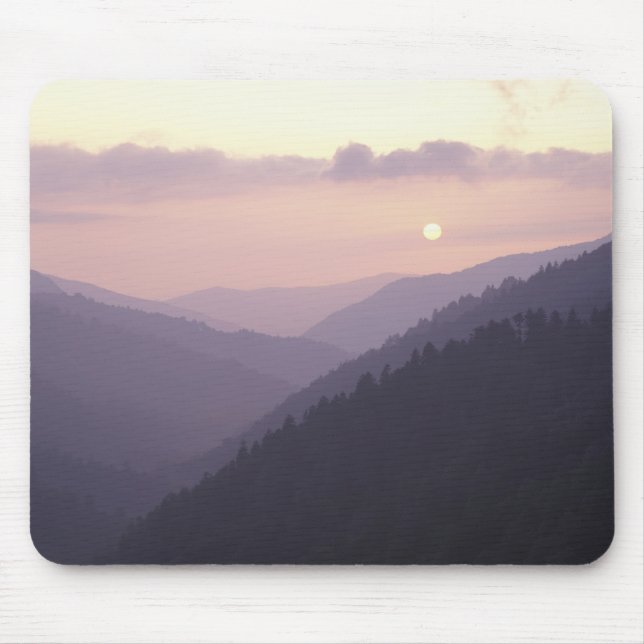 USA, Tennessee. Great Smokey Mountains 2 Musmatta (Framsidan)