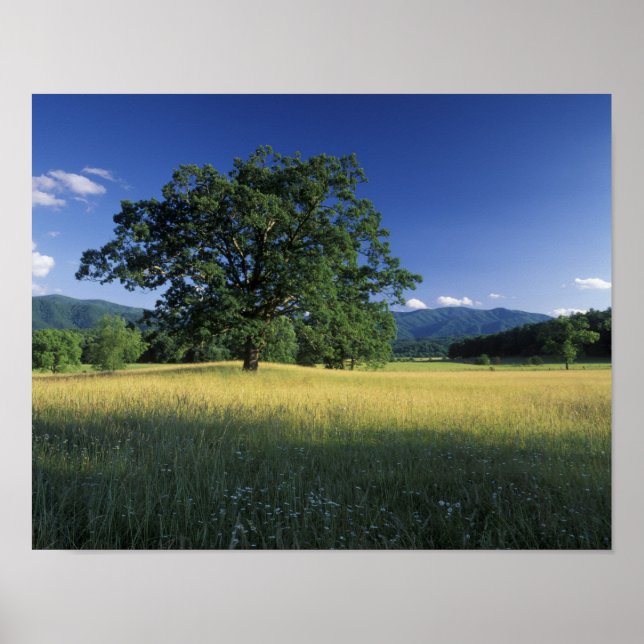 USA, Tennessee. Great Smokey Mountains 2 Poster (Framsidan)