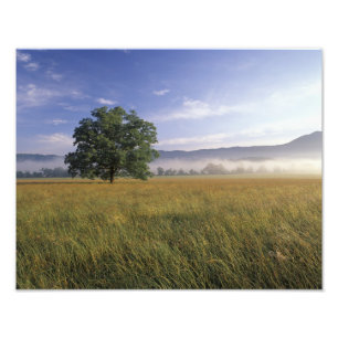USA, Tennessee. Great Smokey Mountains 3 Fototryck