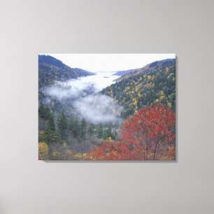 USA, Tennessee, Great Smokey Mountains nationalpar Canvastryck