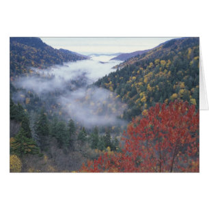 USA, Tennessee, Great Smokey Mountains nationalpar Hälsningskort