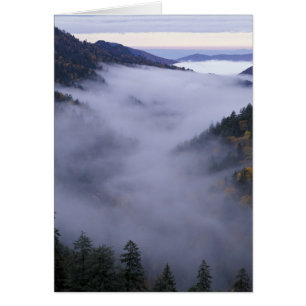 USA, Tennessee. Great Smokey Mountains nationalpar Hälsningskort