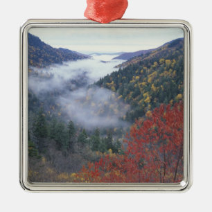 USA, Tennessee, Great Smokey Mountains nationalpar Julgransprydnad Metall