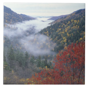 USA, Tennessee, Great Smokey Mountains nationalpar Kakelplatta