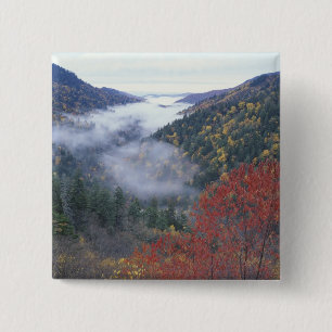 USA, Tennessee, Great Smokey Mountains nationalpar Knapp