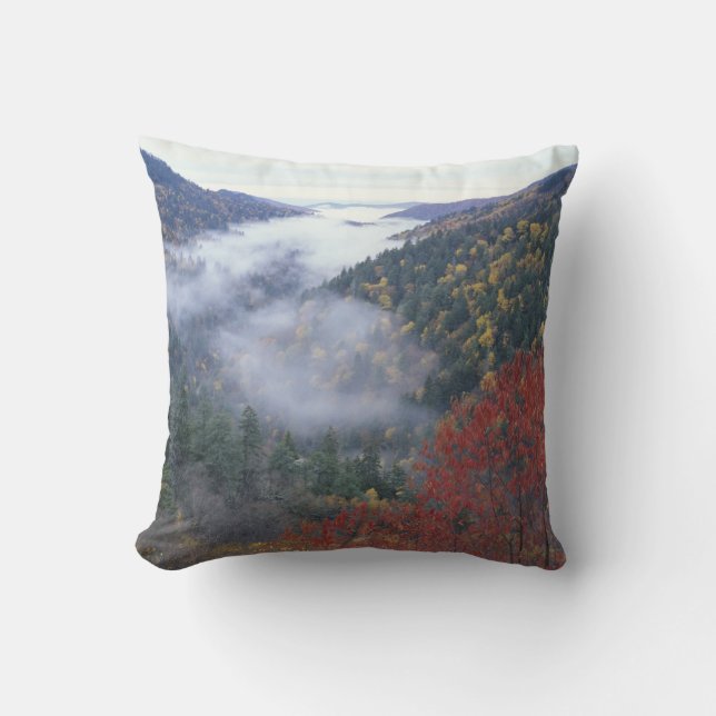 USA, Tennessee, Great Smokey Mountains nationalpar Kudde (Framsida)