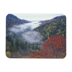 USA, Tennessee, Great Smokey Mountains nationalpar Magnet