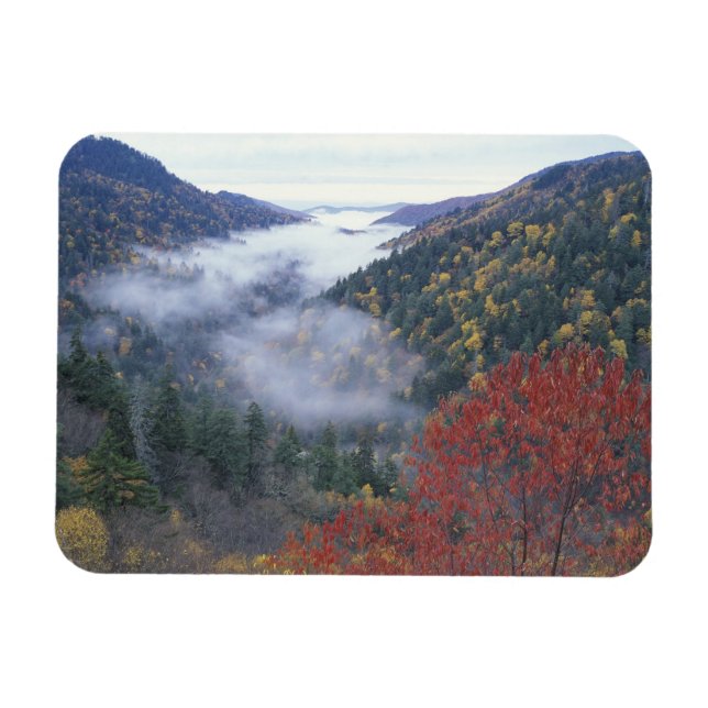 USA, Tennessee, Great Smokey Mountains nationalpar Magnet (Horisontell)