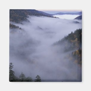 USA, Tennessee. Great Smokey Mountains nationalpar Magnet