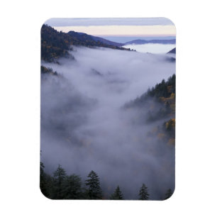 USA, Tennessee. Great Smokey Mountains Nationalpar Magnet