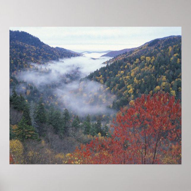 USA, Tennessee, Great Smokey Mountains nationalpar Poster (Framsidan)