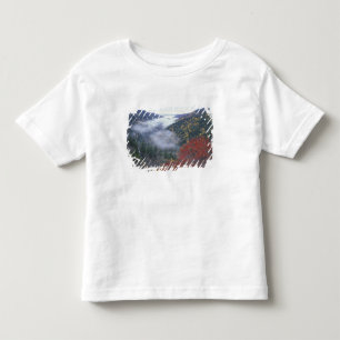 USA, Tennessee, Great Smokey Mountains nationalpar T Shirt