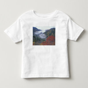 USA, Tennessee, Great Smokey Mountains nationalpar T-shirt