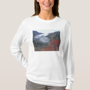 USA, Tennessee, Great Smokey Mountains nationalpar T-shirt