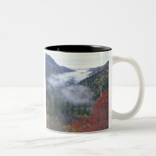 USA, Tennessee, Great Smokey Mountains nationalpar Två-Tonad Mugg