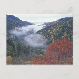 USA, Tennessee, Great Smokey Mountains nationalpar Vykort