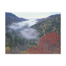 USA, Tennessee, Great Smokey Mountains nationalpar