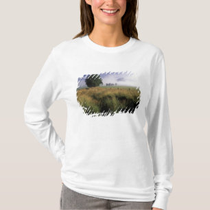 USA, Tennessee, Great Smokey Mountains Tee Shirt