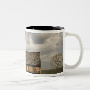 USA, Tennessee, Great Smoky Mountain NP. Två-Tonad Mugg