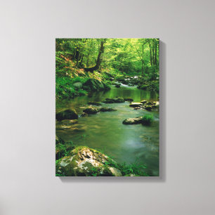 USA, Tennessee, Great Smoky Mountains Canvastryck