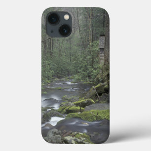USA, Tennessee, Great Smoky Mountains National 3