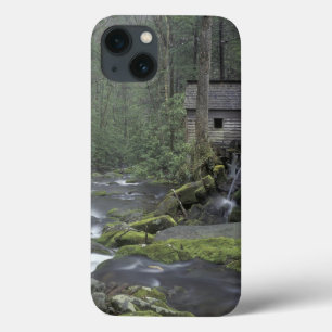 USA, Tennessee, Great Smoky Mountains National 3