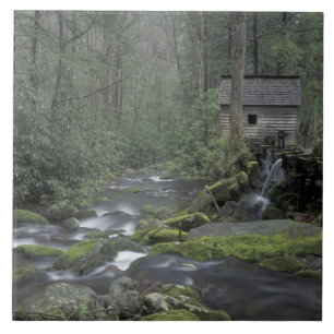 USA, Tennessee, Great Smoky Mountains National 3 Kakelplatta