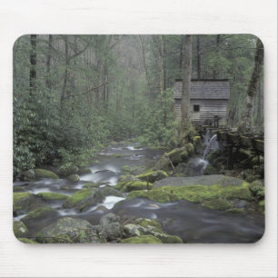 USA, Tennessee, Great Smoky Mountains National 3 Musmatta
