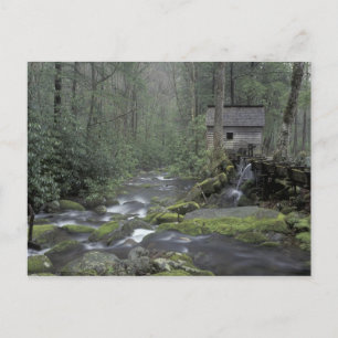 USA, Tennessee, Great Smoky Mountains National 3 Vykort