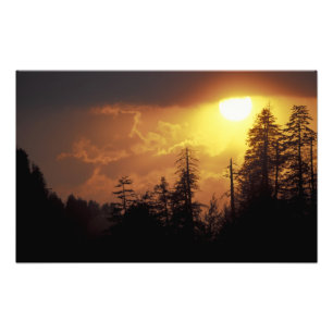 USA, Tennessee, Great Smoky Mountains nationalpark Fototryck