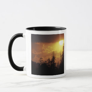 USA, Tennessee, Great Smoky Mountains NP. 2 Mugg