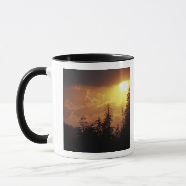 USA, Tennessee, Great Smoky Mountains NP. 2 Mugg (Vänster)
