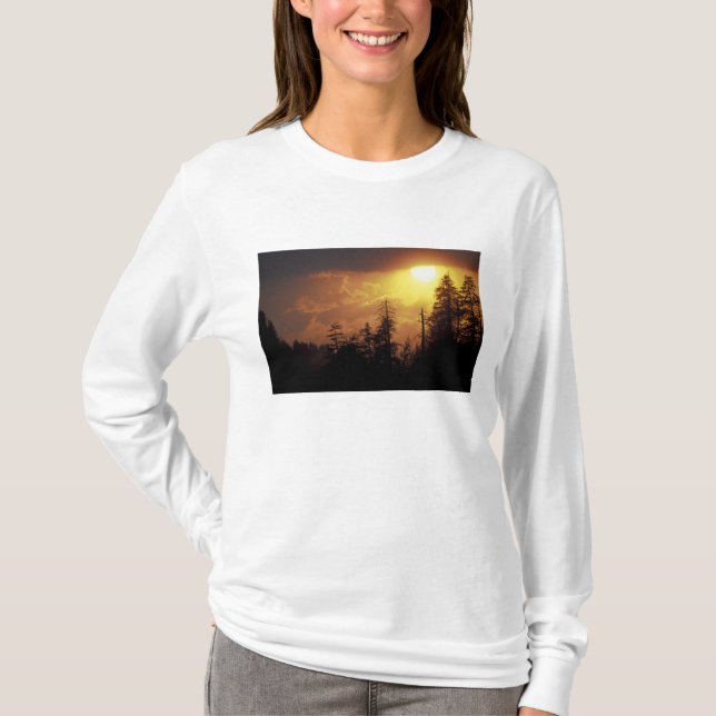 USA, Tennessee, Great Smoky Mountains NP. 2 Tee Shirt (Framsida)