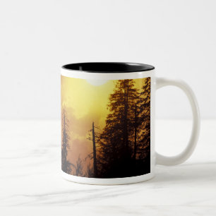 USA, Tennessee, Great Smoky Mountains NP. 2 Två-Tonad Mugg