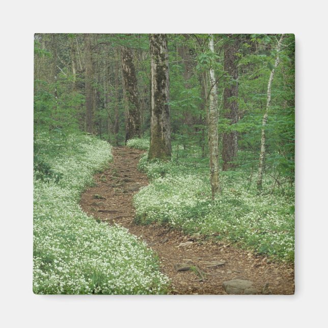 USA, Tennessee, Great Smoky Mountains NP, 3 Magnet (Framsidan)