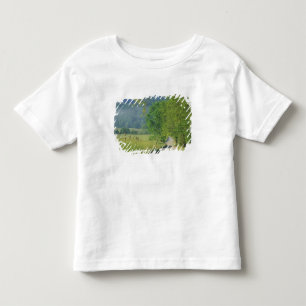USA, Tennessee, Great Smoky Mountains NP, Tee