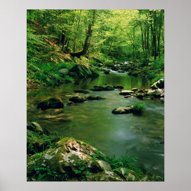 USA, Tennessee, Great Smoky Mountains Poster (Framsidan)