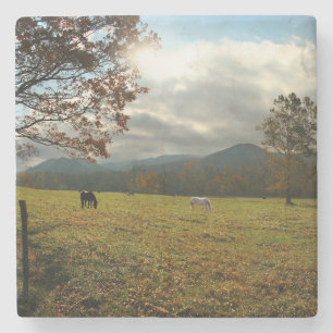 USA, Tennessee. Hästar i Cades Cove-dalen Underlägg Sten