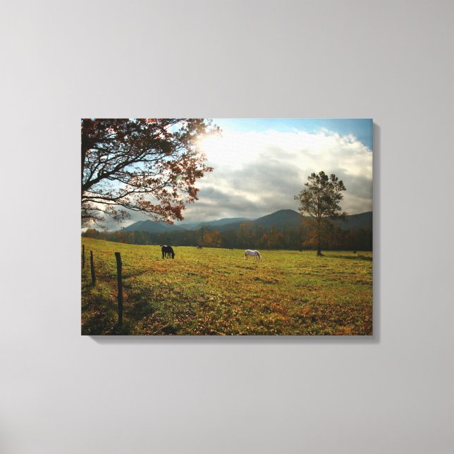 USA, Tennessee. Hästar i Cades Cove Valley Canvastryck (Framsida)