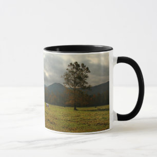 USA, Tennessee. Hästar i Cades Cove Valley Mugg