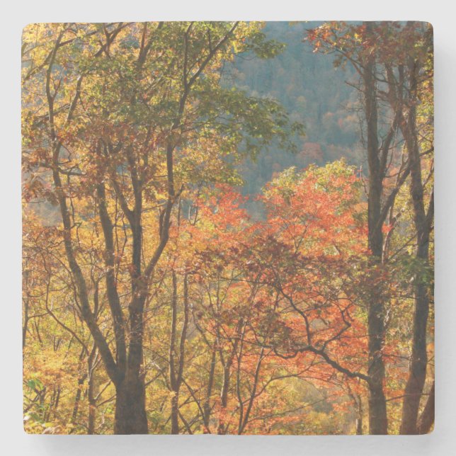 USA, Tennessee. Höstfärger Stenunderlägg (Framsidan)