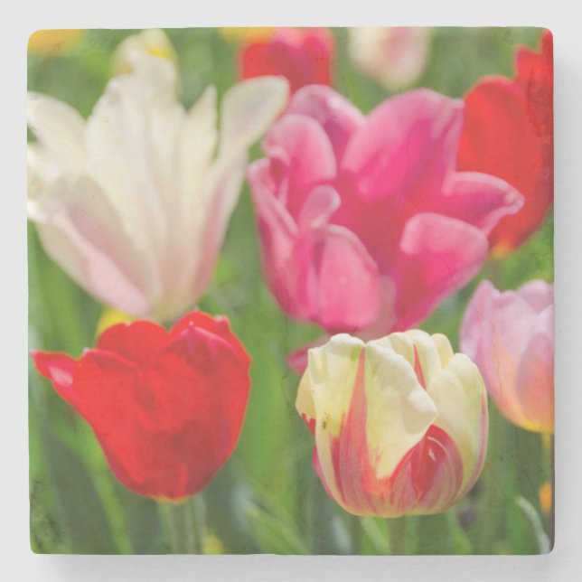 USA, Tennessee, Nashville Underlägg Sten (Framsidan)