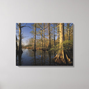 USA, Tennessee. Reelfoot National Wildlife Canvastryck